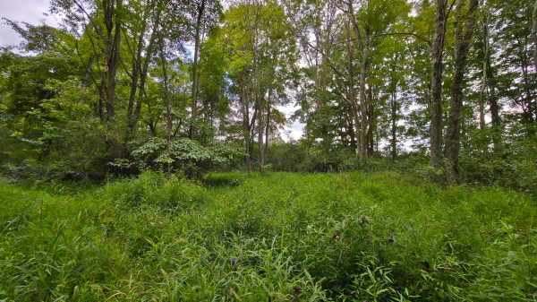 The Woods at Scenic Lake property photo