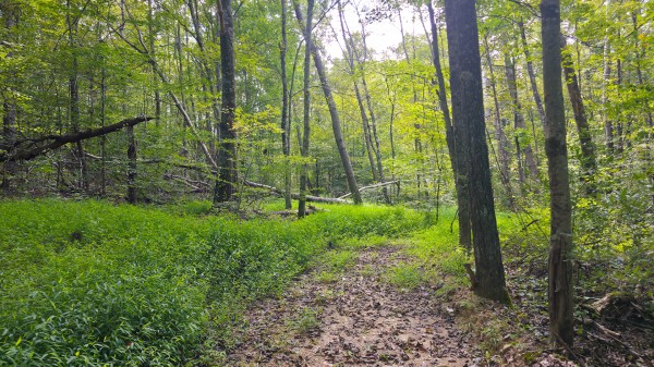 The Woods at Scenic Lake property photo