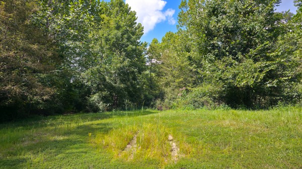 The Woods at Scenic Lake property photo