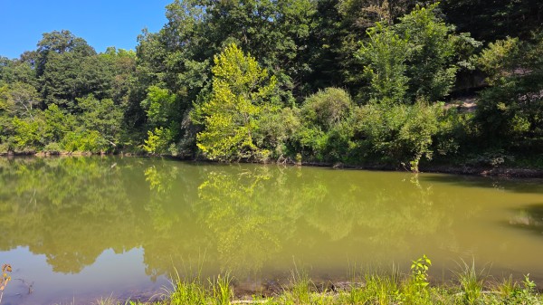 The Woods at Scenic Lake property photo