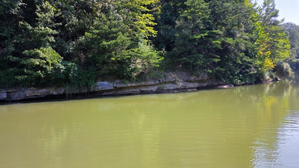 More of The Woods at Scenic Lake