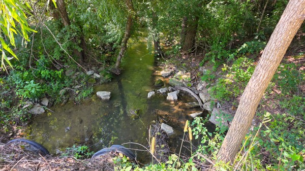 The Woods at Scenic Lake property photo