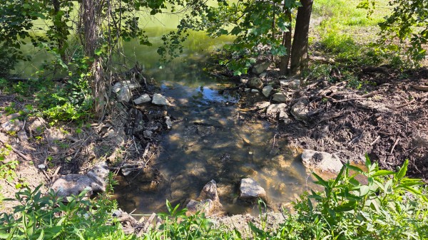 The Woods at Scenic Lake property photo
