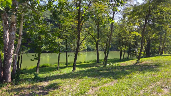 The Woods at Scenic Lake property photo