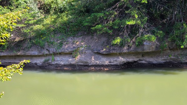The Woods at Scenic Lake property photo