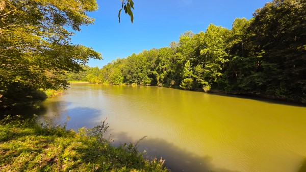 More of The Woods at Scenic Lake