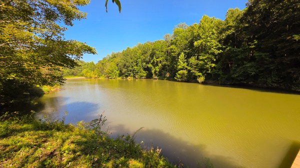The Woods at Scenic Lake property photo