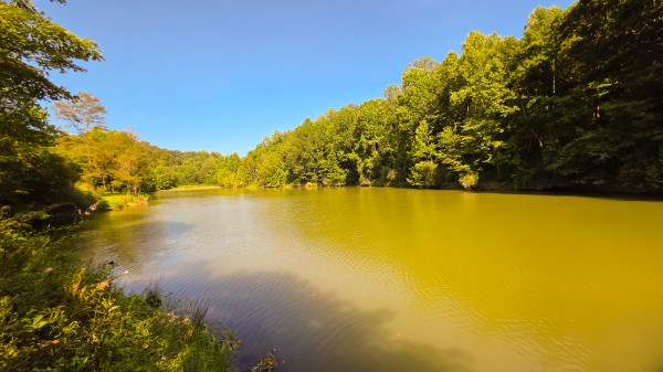 The Woods at Scenic Lake property photo
