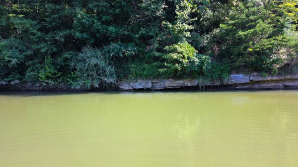The Woods at Scenic Lake property photo