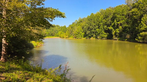 The Woods at Scenic Lake property photo