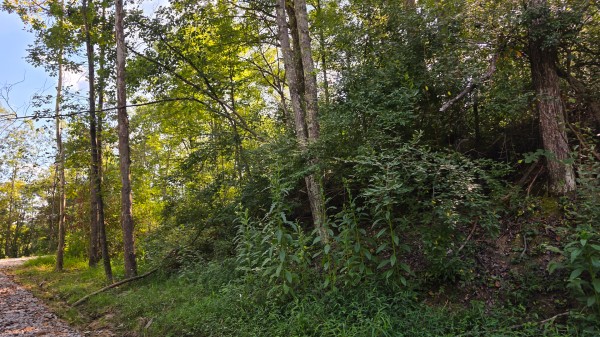 Lot 10 at Scenic Trails property photo