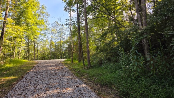Lot 10 at Scenic Trails property photo