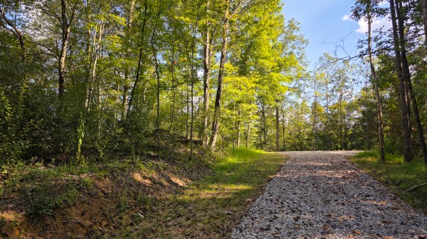 Lot 10 at Scenic Trails property photo