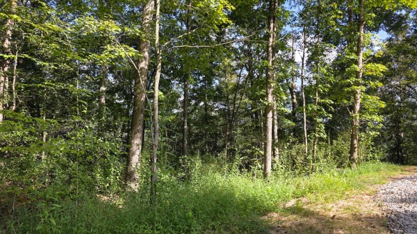 Lot 10 at Scenic Trails property photo