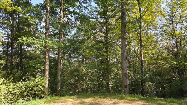 Lot 10 at Scenic Trails property photo