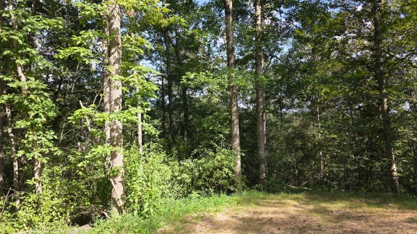 Lot 10 at Scenic Trails property photo