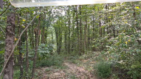 Lot 10 at Scenic Trails property photo
