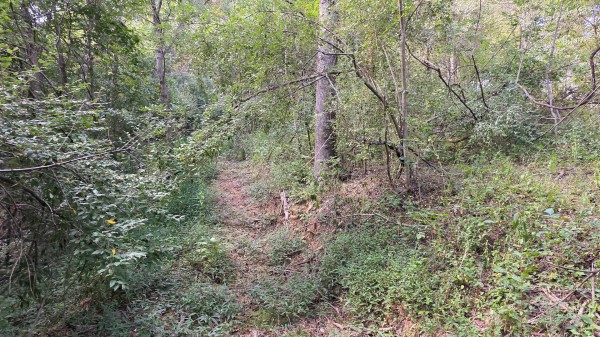 Lot 10 at Scenic Trails property photo