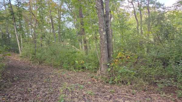 Lot 10 at Scenic Trails property photo