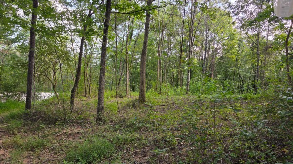 Lot 10 at Scenic Trails property photo