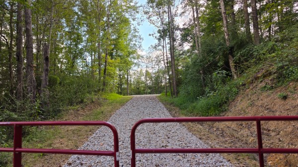 More of Lot 10 at Scenic Trails