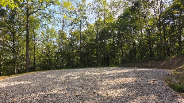 More of Lot 10 at Scenic Trails