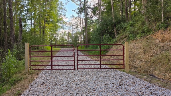 More of Lot 10 at Scenic Trails