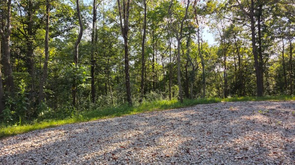 Lot 7 at Scenic Trails property photo