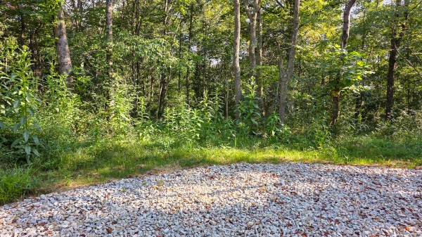 Lot 7 at Scenic Trails property photo