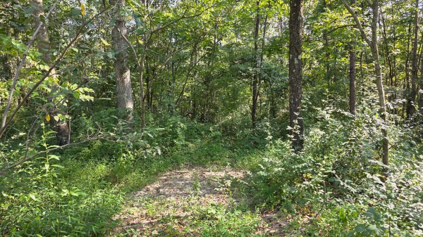 Lot 7 at Scenic Trails property photo