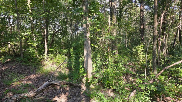 Lot 7 at Scenic Trails property photo