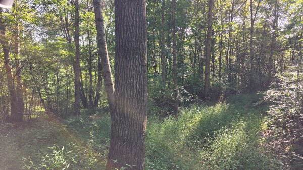 Lot 7 at Scenic Trails property photo