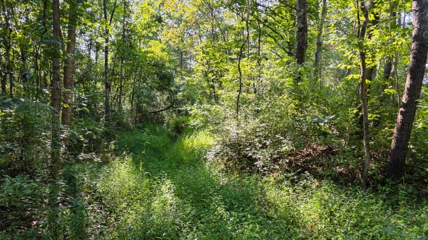 Lot 7 at Scenic Trails property photo