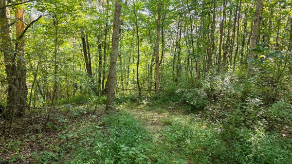Lot 7 at Scenic Trails property photo