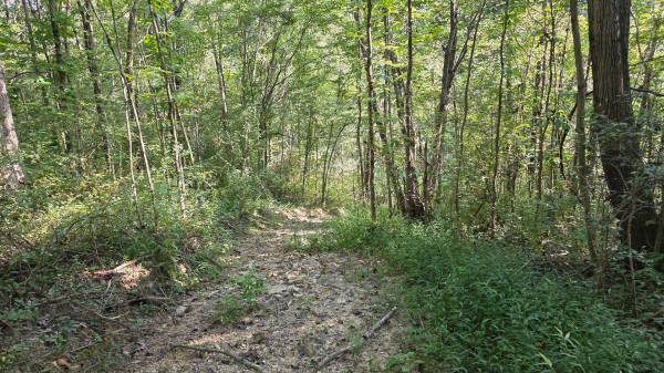 Lot 7 at Scenic Trails property photo