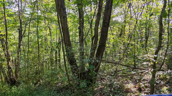 Lot 7 at Scenic Trails property photo