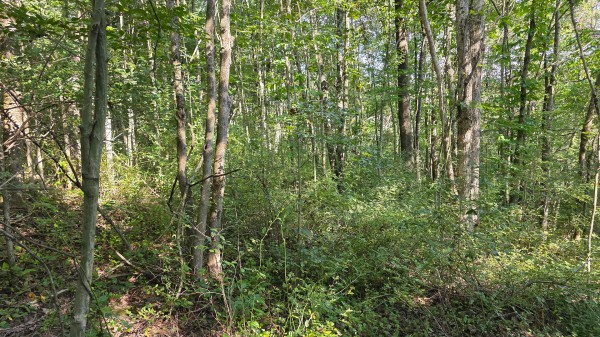 Lot 7 at Scenic Trails property photo