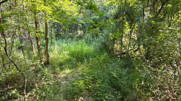 Lot 7 at Scenic Trails property photo