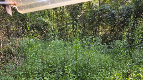 Lot 7 at Scenic Trails property photo