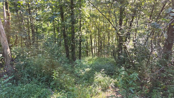 Lot 7 at Scenic Trails property photo