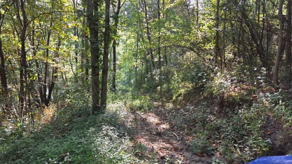 Lot 7 at Scenic Trails property photo