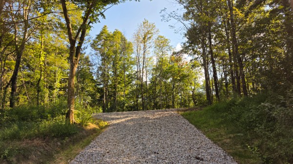 More of Lot 7 at Scenic Trails