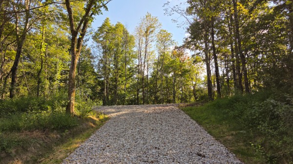 More of Lot 7 at Scenic Trails