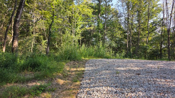 Lot 7 at Scenic Trails property photo