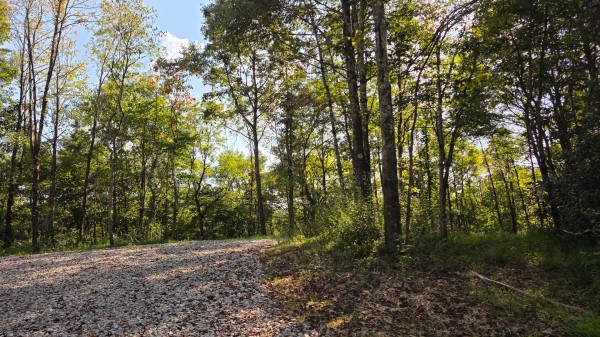 Lot 7 at Scenic Trails property photo