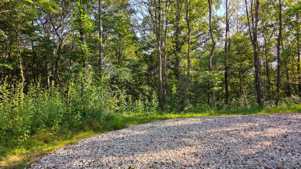 Lot 7 at Scenic Trails property photo
