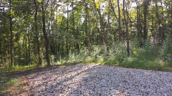 Lot 8 at Scenic Trails property photo