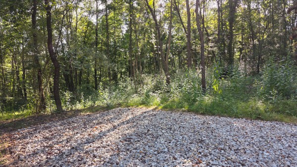 Lot 8 at Scenic Trails property photo
