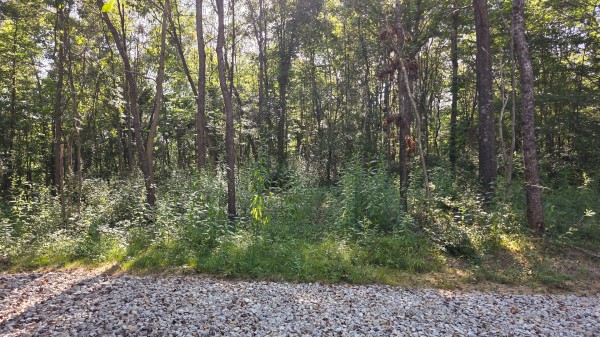 Lot 8 at Scenic Trails property photo