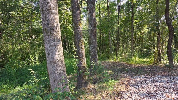 Lot 8 at Scenic Trails property photo